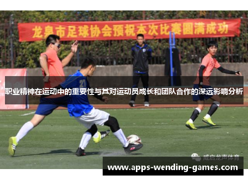 职业精神在运动中的重要性与其对运动员成长和团队合作的深远影响分析