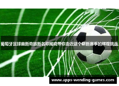 葡萄牙足球最新劲旅新名称揭晓带你走近这个崭新赛季的辉煌挑战 葡萄牙足球最新劲旅新名称揭晓带你走近这个崭新赛季的辉煌挑战