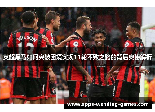 英超黑马如何突破困境实现11轮不败之路的背后奥秘解析 英超黑马如何突破困境实现11轮不败之路的背后奥秘解析