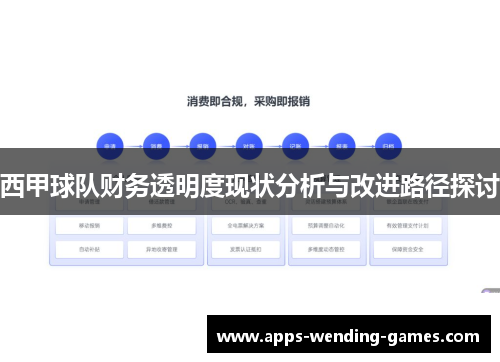 西甲球队财务透明度现状分析与改进路径探讨