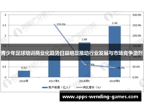 青少年足球培训商业化趋势日益明显推动行业发展与市场竞争激烈 青少年足球培训商业化趋势日益明显推动行业发展与市场竞争激烈